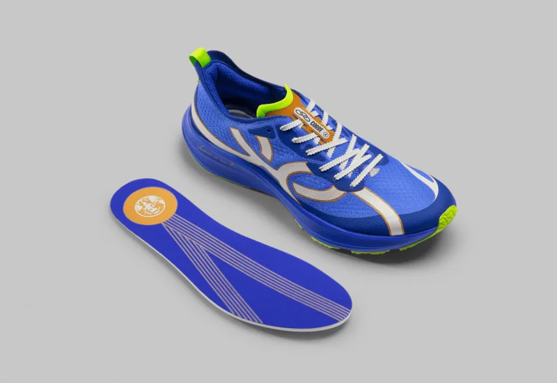 Vanderlei Cordeiro de Lima Corrida Integração