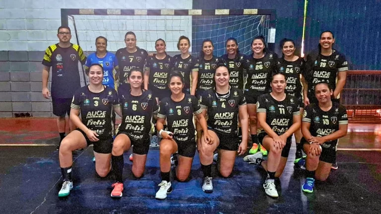 Liga Regional de Handebol