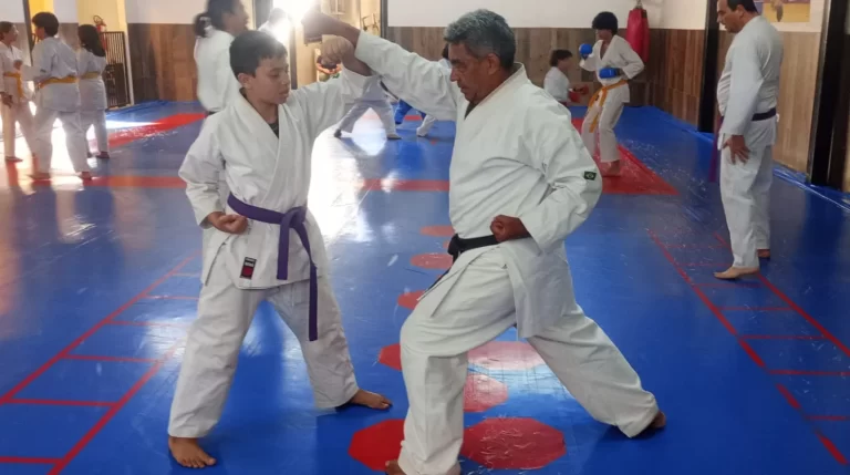 Seleção Paulista de karatê