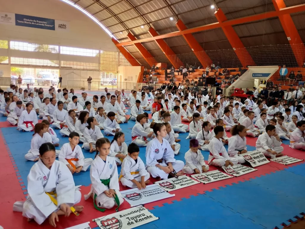 Matsumi/SMEL Copa Santa Adélia de Karatê