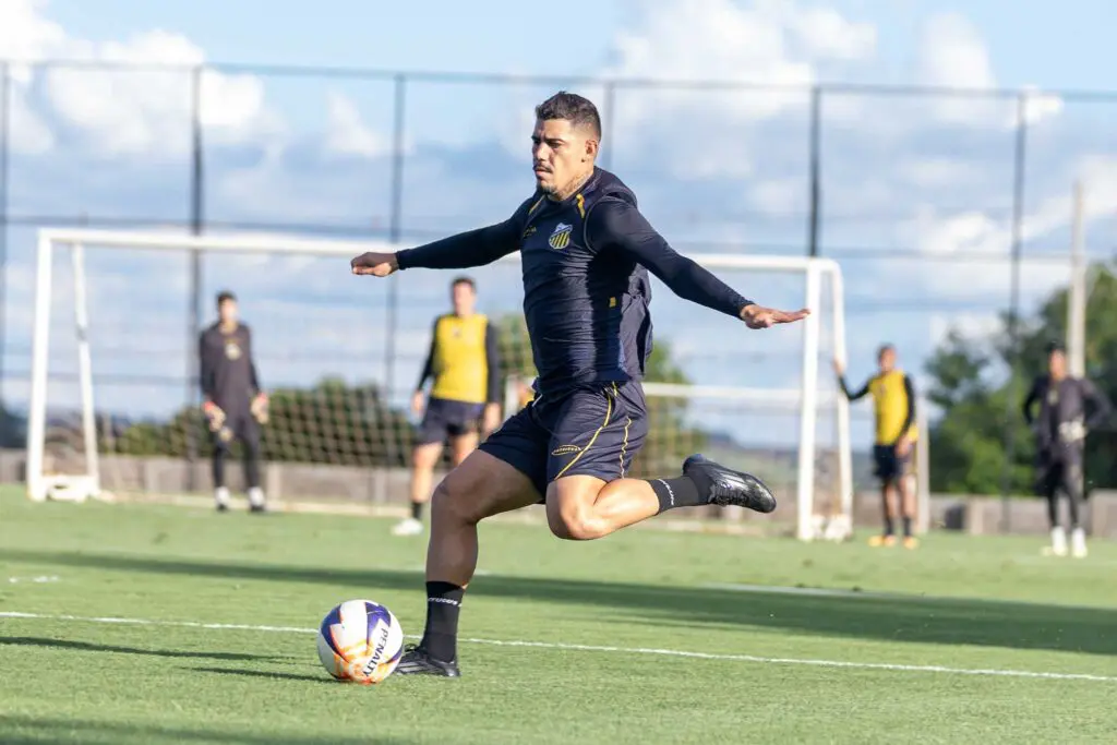 Novorizontino x Botafogo escalações