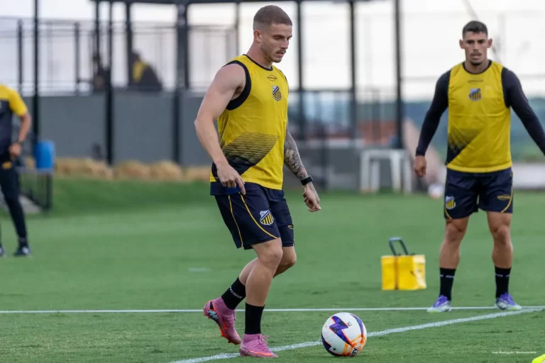 Novorizontino x Palmeiras