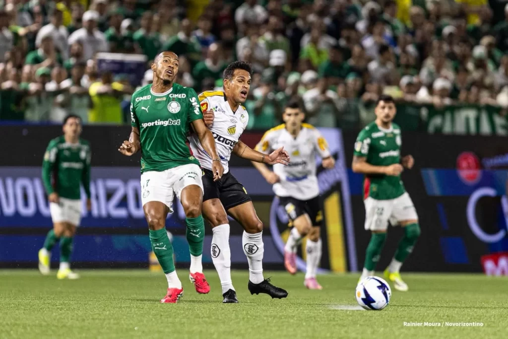 Palmeiras Novorizontino final