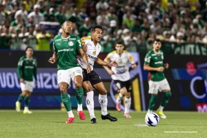 Palmeiras Novorizontino final