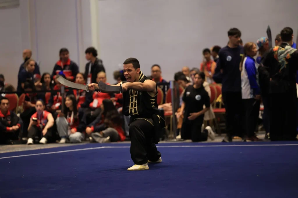 Pan-Americano de kung fu